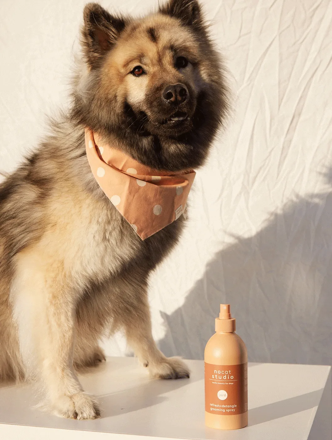 3IN1 DOG GROOMING SPRAY JORD