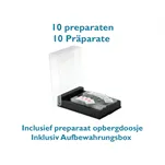 Preparaat Trilhaarepitheel luchtpijp van konijn (10 stuks in doos)